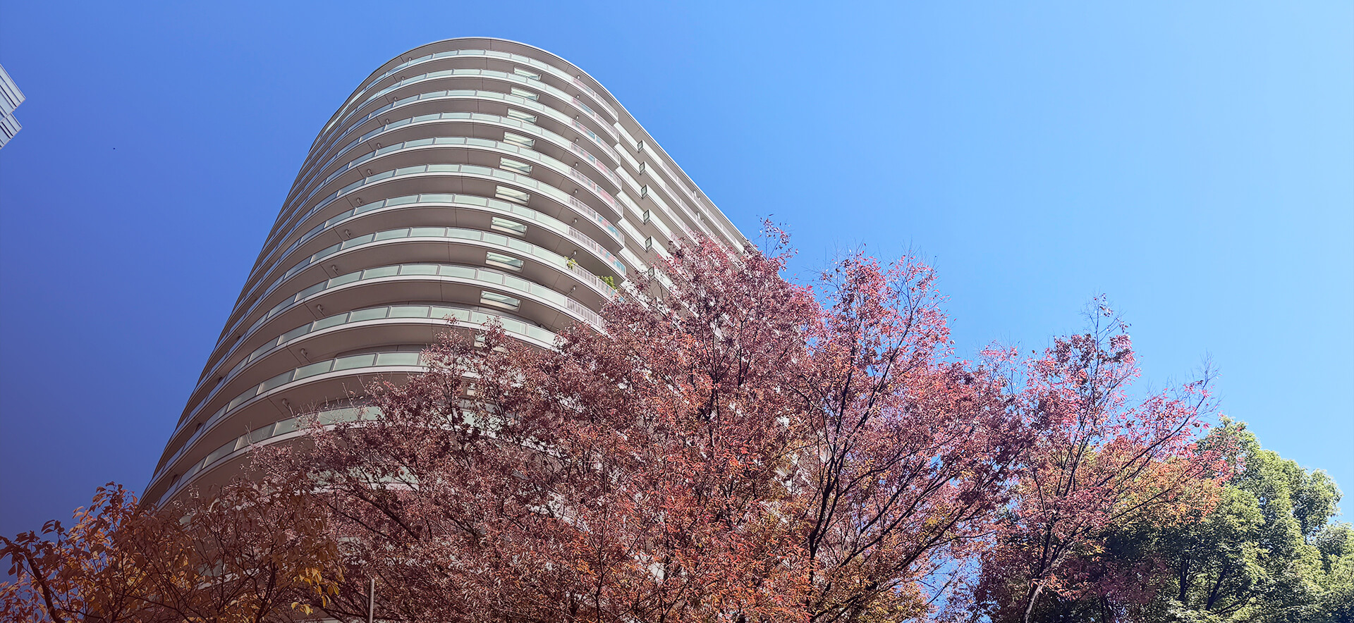 株式会社ティエヌワークス