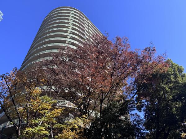 ゲートシティ大崎